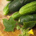 Cucumber Seeds 50 Count Long Green Improved Gourmet Non-GMO Cucumis sativus Free Shipping