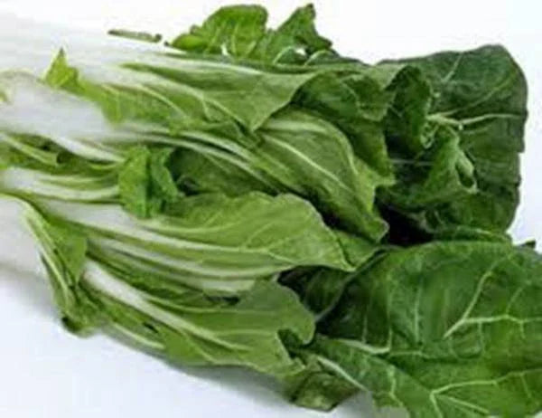 Swiss Chard Seeds, Large White Ribbed, Heirloom, Non-GMO, 500 Seeds, Beta vulgaris subsp. cicla