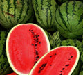 Sweet Watermelon Seeds 25+ Pack, Average Weight 25-35 lbs, Citrullus lanatus, Garden Fruit, Free Shipping