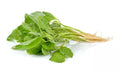 Green Chinese Spinach Seeds - 100+ Seeds - Edible Leaf Vegetable - Amaranthus viridis - Ships from Iowa, USA