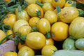 Yellow Globe Squash Seeds - 25+ Pack for Garden Planting - Cucurbita maxima - USA Grown, Non-GMO, Free Shipping