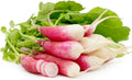 French Breakfast Radish Seeds - Fresh Organic Vegetable Seeds for Planting - Raphanus sativus