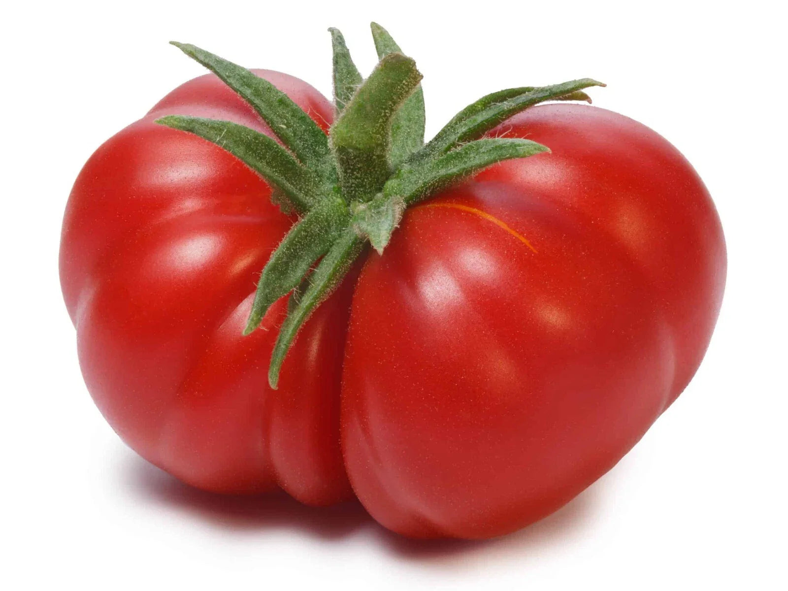 Beefsteak Tomato Seeds - 120+ Heirloom Non-GMO Organic - Solanum lycopersicum