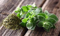 Oregano Seeds - 150 Count - Culinary Herb for Cooking - Origanum vulgare