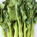 Chinese Broccoli Seeds 500+ Count Jie Lan Gai Lan Rapini Brassica oleracea for 2025 Planting