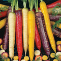 Rainbow Carrot Seeds Mix - 100++ Heirloom, Non-GMO, USA Grown, Colorful Blend for Home Garden