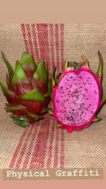 Dragon Fruit Cuttings - Physical Graffiti Variety - Hylocereus undatus
