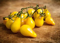 Yellow Pear Tomato Seeds - Heirloom, Organic, Non-GMO - 10+ Seeds - Solanum lycopersicum