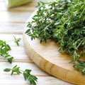 Thyme Seeds | Heirloom Non-GMO Herb Seeds | Culinary Variety | Thymus vulgaris | Seed Store 1160