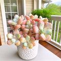 Rare Succulent Plants 3” Bare Root | Easy-Care Live Echeveria & Indoor Decor Succulents | Low Maintenance Home Garden Succulent