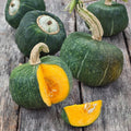 Burgess Buttercup Squash Seeds - Heirloom Winter Vegetable for 2025 Planting - Cucurbita maxima
