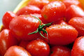 Crovarese Italian Grape Tomato Seeds 50 Ct Heirloom Vegetable Seeds, Solanum lycopersicum, USA, Free Shipping