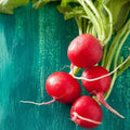 Champion Radish Seeds 300 Count Non-GMO Heirloom - Raphanus sativus - USA Seller