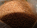 White Mustard Seed - 4 Oz Non-GMO Sinapis Alba for Microgreens or Planting - Pure Variety