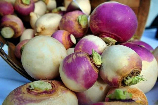 Turnip Seeds - Purple Top White Globe - Heirloom Non-GMO - 100 Seeds - Brassica rapa