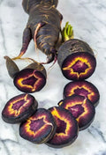 Black Nebula Carrot Seeds - 200+ Heirloom Organic NON-GMO Fresh Seeds - Daucus carota