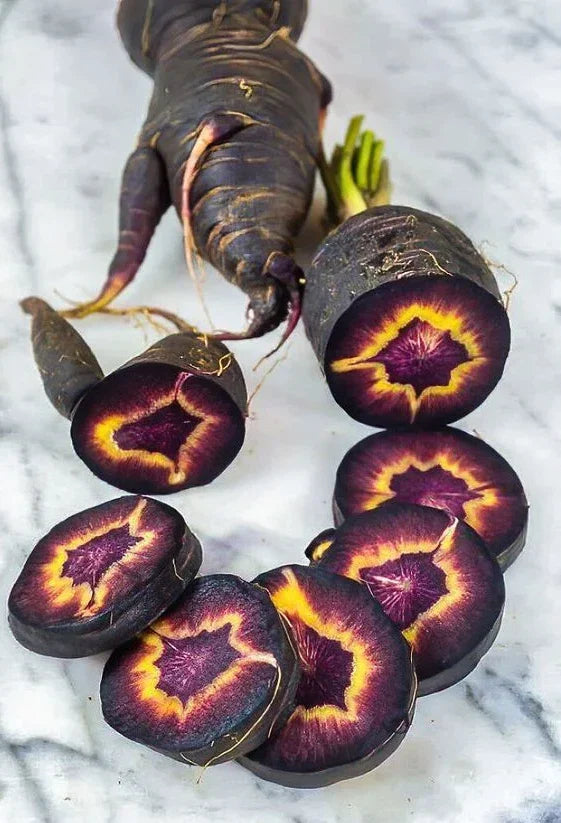 Black Nebula Carrot Seeds - 200+ Heirloom Organic NON-GMO Fresh Seeds - Daucus carota