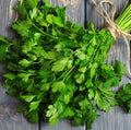 Flat Leafed Parsley Seeds, 75 Day Harvest, Petroselinum crispum, Heirloom Culinary Herb