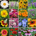 Perennial Wildflower Seed Mix - 1.8g, 19 Varieties - All Natural Flower Seeds for Garden - Native Wildflowers