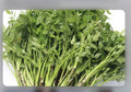 Water Dropwort Minari 10+ Bare Roots | Japanese Parsley | Water Celery | Rau cần nước