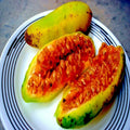 10 Banana Passionfruit Seeds | Rare Fast Flowering Vine | Passiflora Mollissima
