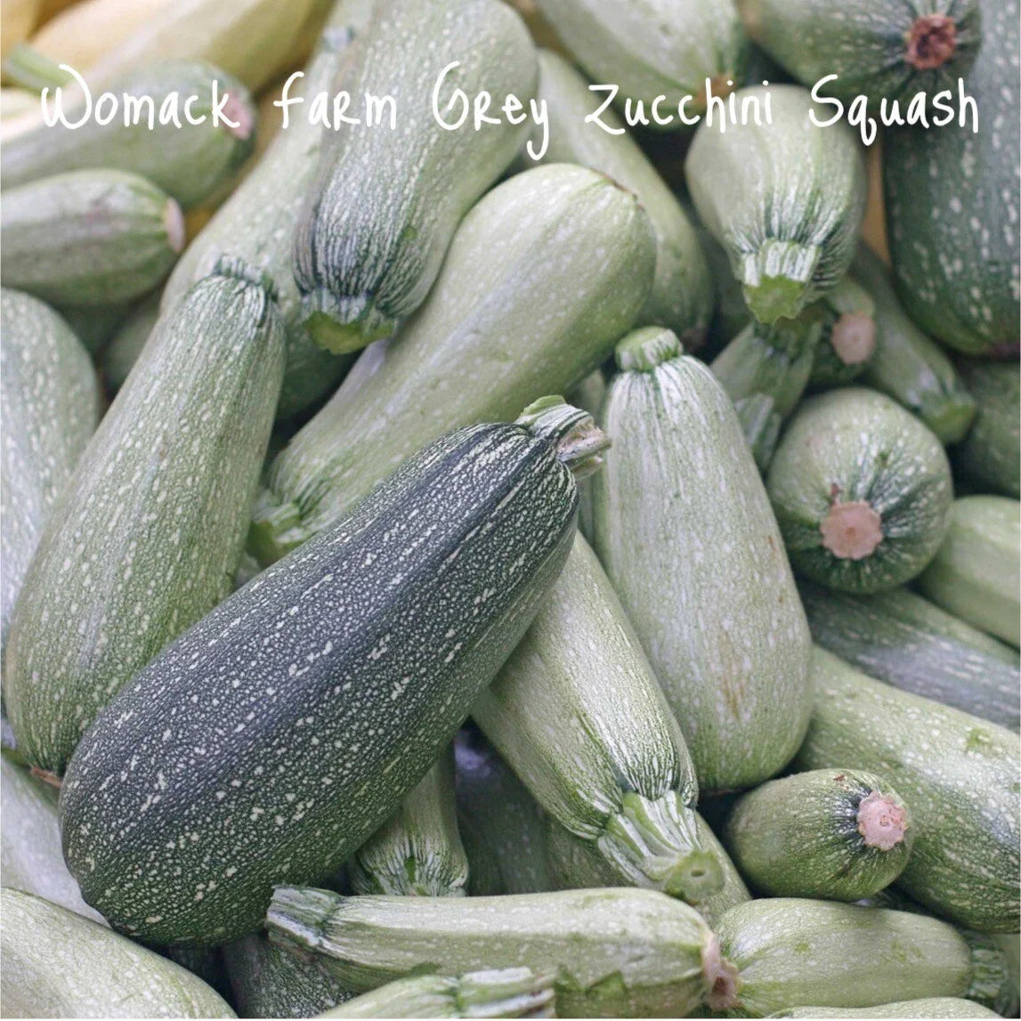 Organic Grey Zucchini Summer Squash Seeds, 25+ Non-GMO Seeds, Cucurbita pepo