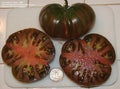 Black From Tula Tomato Seeds - 10+ Heirloom, Non-GMO, Rare Variety - Solanum lycopersicum