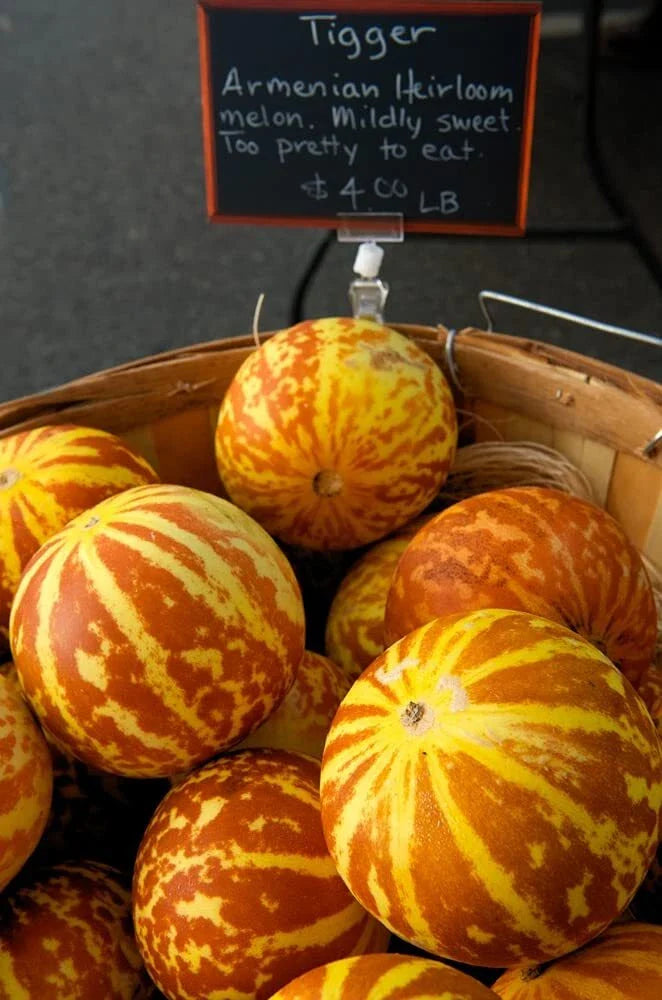 Tiger Melon Seeds | 10 Rare Seeds | Exotic Fruit for Gardening | Cucumis melo