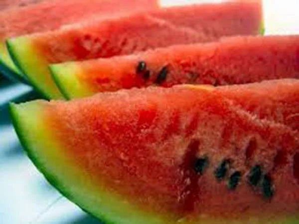 Watermelon Seeds 500 Count, Charleston Grey Heirloom Variety, Citrullus lanatus