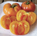Pineapple Tomato Seeds, NON-GMO Heirloom, Bi-Colored Beefsteak, Solanum lycopersicum, Organic Gardening Supplies