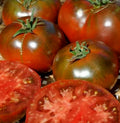 Paul Robeson Tomato Seeds - 50+ Beefsteak - Indeterminate Garden Vegetable - Solanum lycopersicum
