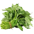 Water Spinach Seeds 120pcs - Organic Non-GMO Heirloom 'Kong Xin Cai' Vegetable Seeds for Home Gardening