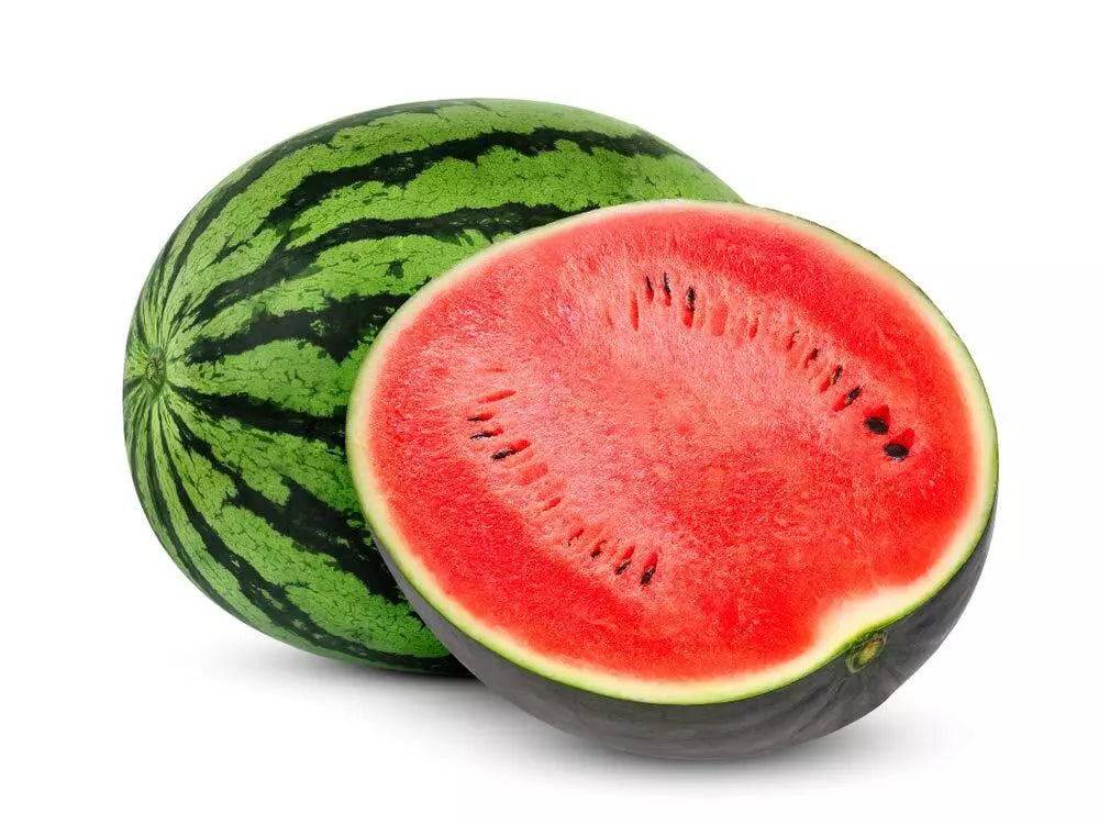 Watermelon Seeds 25 Count | Summer Favorite Fruit Seeds for Planting | Citrullus lanatus