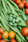 Cucamelon Seeds - 20 Pack - Mexican Sour Gherkin - Melothria scabra - Heirloom, Organic, Made in USA