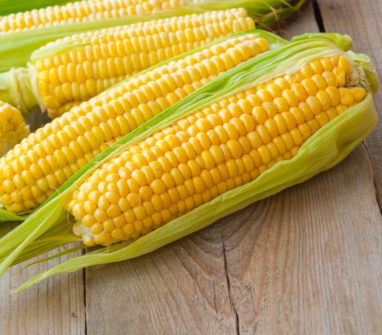 Premium Kandy Korn Seeds - Sweet Corn Variety - Zea mays - Fresh Planting Seeds for Home Garden
