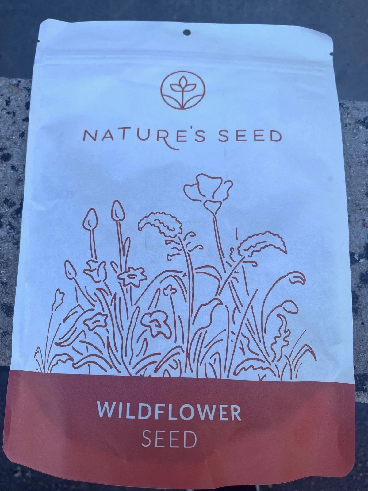Northeast Wild Flower Seeds 0.5 lbs - Native Wildflower Mix for Pollinators - Ideal for Gardens and Landscapes