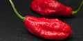 Ghost Pepper Seeds - Fresh Hot Pepper Seeds - Capsicum chinense - Spicy Variety for Gardening