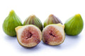 Florentine Fig Seeds - 100+ Count - Fico Bianco Variety - Ficus carica - USA - Free Shipping
