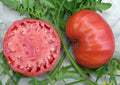 Mortgage Lifter Tomato Seeds - 10+ Heirloom Organic Non-GMO Seeds - Perfect for Home Gardening - Solanum lycopersicum