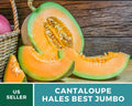 Hales Best Jumbo Cantaloupe Seeds - 25+ Heirloom Non-GMO Seeds - Sweet Melon Variety - Cucumis melo