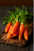 Little Fingers Baby Carrot Seeds - 300+ Non-GMO Organic Open Pollinated - Daucus carota