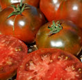 Paul Robeson Tomato Seeds 100+ Indeterminate Beefsteak Vegetable Seeds - Solanum lycopersicum