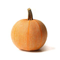 Winter Luxury Pumpkin Seeds - 25+ Seeds for Garden Planting - Cucurbita maxima - USA Grown, Free Shipping