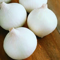 White Sweet Spanish Onion Seeds | Heirloom Non-GMO | Vegetable Gardening | Allium cepa