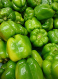 Yolo Wonder Pepper Seeds 50+ Non-GMO Sweet Bell Vegetable Seeds for Garden (Capsicum annuum)