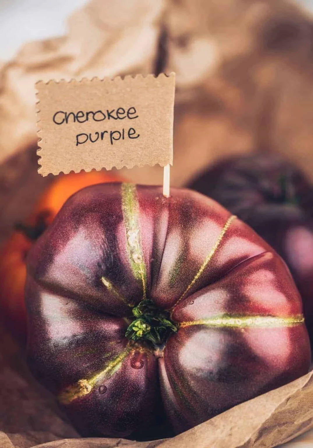 Cherokee Purple Tomato Seeds - 120+ Heirloom Non-GMO Organic Seeds - Fresh - Solanum lycopersicum