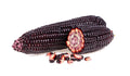 Purple Popcorn Seeds for Planting - 50 Rare Seeds for Exotic Edible Corn (Zea mays)