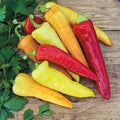 Sweet Banana Pepper Seeds - Premium Heirloom Variety - Versatile Culinary Use - Capsicum annuum