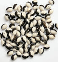 Calypso Bean Seeds - Fresh Soup Bean Seeds - Heirloom Variety - Phaseolus vulgaris - Free Shipping Available