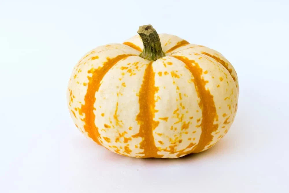 Dwarf Tiger Striped Pumpkin Seeds - 10 Count - Colorful Fall Decor - Cucurbita pepo